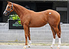 Keeneland Session Two: More Hot Prospects