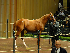 Kellys Buy Tapit Colt for $650,000 Kellys Buy Tapit Colt for $650,000