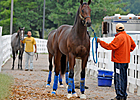 September Sale Positives Outweigh Negatives