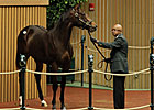 Giant's Causeway Colt Tops Early at Keeneland