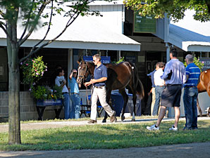 Keeneland September Sale Resilient So Far Keeneland September Sale Resilient So Far