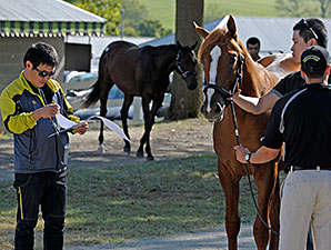Keeneland Sale Continues Remarkable Roll Keeneland Sale Continues Remarkable Roll