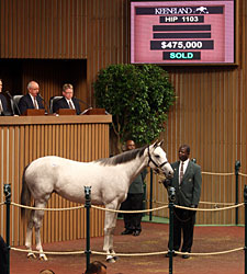 Keeneland Sale Figures Remain Strong Saturday Keeneland Sale Figures Remain Strong Saturday