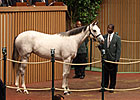 Keeneland Sale Figures Remain Strong Saturday Keeneland Sale Figures Remain Strong Saturday