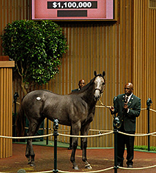 Rea Lands Unbridled's Song Colt for $1.1M Rea Lands Unbridled's Song Colt for $1.1M