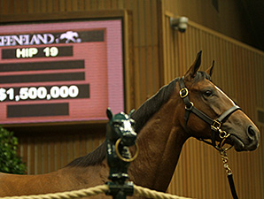 Lively Trade on First Day of Keeneland Sale Lively Trade on First Day of Keeneland Sale