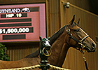 Lively Trade on First Day of Keeneland Sale Lively Trade on First Day of Keeneland Sale