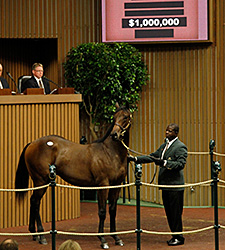 Coolmore Gets War Front Colt for $1 Million Coolmore Gets War Front Colt for $1 Million