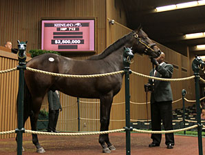$2.5 Million War Front Colt New Sale Topper $2.5 Million War Front Colt New Sale Topper
