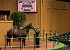 Keeneland Sale Ends Successful First Week Keeneland Sale Ends Successful First Week