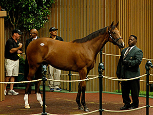 Malibu Moon Filly Brings $1.35M at Keeneland Malibu Moon Filly Brings $1.35M at Keeneland