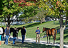 Keeneland Sale Gross Surpasses 2012 Total Keeneland Sale Gross Surpasses 2012 Total