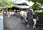 Keeneland September Sale - Day 1 Wrap-Up Keeneland September Sale - Day 1 Wrap-Up