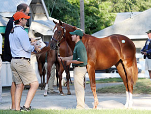 First to Last Crops: They're All at Keeneland First to Last Crops: They're All at Keeneland