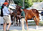 First to Last Crops: They're All at Keeneland First to Last Crops: They're All at Keeneland