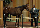Keeneland September Book 2 Sees Big Gains Keeneland September Book 2 Sees Big Gains