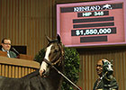 Oxbow's Half Brother Leads Keeneland Gains Oxbow's Half Brother Leads Keeneland Gains