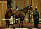 Filly, Two Colts Each Bring More than $1M Filly, Two Colts Each Bring More than $1M