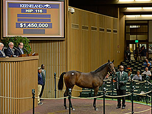 Shadwell Lands War Front Filly for $1.45M