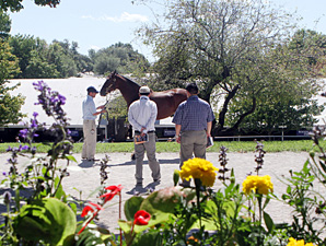 Divine Park Colt Tops Session at Keeneland Divine Park Colt Tops Session at Keeneland