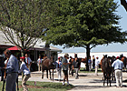 Yes It's True Colt Tops Keeneland Session Yes It's True Colt Tops Keeneland Session