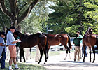 Ladies Day at Keeneland; Sale Gains Continue Ladies Day at Keeneland; Sale Gains Continue