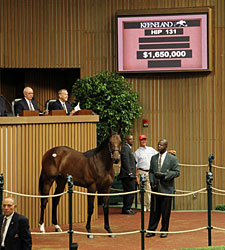 Keeneland September Kicks Off With Increases Keeneland September Kicks Off With Increases