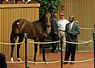 Keeneland September Kicks Off With Increases Keeneland September Kicks Off With Increases