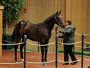 War Front Colt Sells for $1,050,000 War Front Colt Sells for $1,050,000