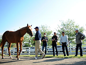 Yearling Market Roars Through Book Three Yearling Market Roars Through Book Three