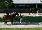 Keeneland September Yearling Sale Preview Keeneland September Yearling Sale Preview