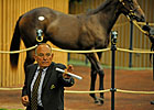 Keeneland Yearling Sale Surpasses 2010 Total Keeneland Yearling Sale Surpasses 2010 Total