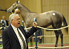 Keeneland Sale Continues to Soar on Day 7 Keeneland Sale Continues to Soar on Day 7