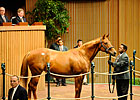 Keeneland Sale Off to Solid Start