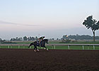 Back on Dirt at Keeneland; New Track Opens Back on Dirt at Keeneland; New Track Opens