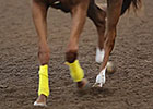 Keeneland Dirt Racing Surface Reveal Keeneland Dirt Racing Surface Reveal