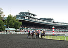 Keeneland to Replace Polytrack With Dirt Keeneland to Replace Polytrack With Dirt