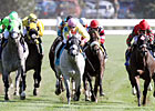What's Going On Here: Stakes Sizzle What's Going On Here: Stakes Sizzle