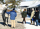 Keeneland January Sale: Mood Is Upbeat