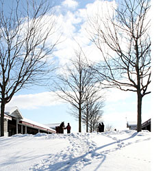 Keeneland January Sale Kicks Off With a Bang Keeneland January Sale Kicks Off With a Bang