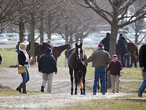 Quick Start at Keeneland January Sale Quick Start at Keeneland January Sale