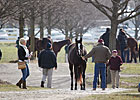 Quick Start at Keeneland January Sale Quick Start at Keeneland January Sale