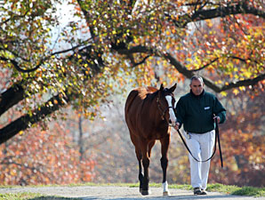 Double-Digit Growth for Keeneland Day Six Double-Digit Growth for Keeneland Day Six