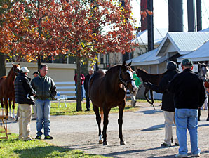 Pulpit Filly Tops Keeneland Day 7 at $190,000 Pulpit Filly Tops Keeneland Day 7 at $190,000