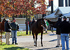 Pulpit Filly Tops Keeneland Day 7 at $190,000 Pulpit Filly Tops Keeneland Day 7 at $190,000