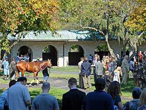 Keeneland Fall Meet Bucks National Trends Keeneland Fall Meet Bucks National Trends