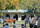 Keeneland Fall Meet Bucks National Trends