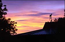 Keepin' Up with Keeneland: Notes from Day 1 Keepin' Up with Keeneland: Notes from Day 1