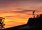 Keepin' Up with Keeneland: Notes from Day 2 Keepin' Up with Keeneland: Notes from Day 2