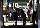 Some Yearlings to Note at Keeneland September Some Yearlings to Note at Keeneland September